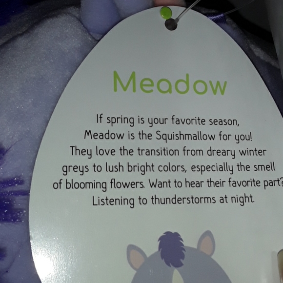 "8 Meadow Eatser Squishmallow *NEW* - Picture 3 of 3